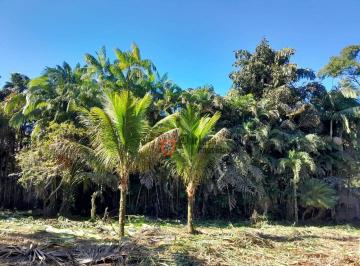 217791769391e9fb75c90323fb4ae83bbcb01833 · Terreno à venda, 500 m² por R$ 1.200.000,00 - Praia do Itamambuca - Ubatuba/SP