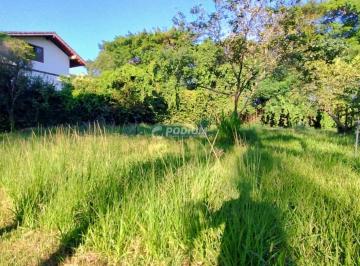 241847.jpg · Imoveis - na Barra da Tijuca