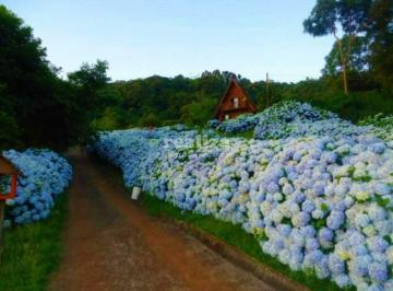 Rural · REALIZA VENDE SÍTIO EM GRAMADO