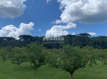 Terreno · 800m² · TERRENO EM GRAMADO