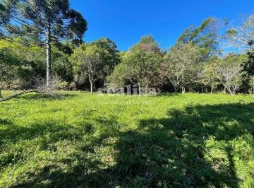 Rural · ÁREA DE TERRA EM GRAMADO