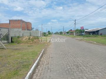 WhatsApp Image 2026-02-05 at 16.39.59.jpeg · Terreno, 300 m², em Santa Terezinha