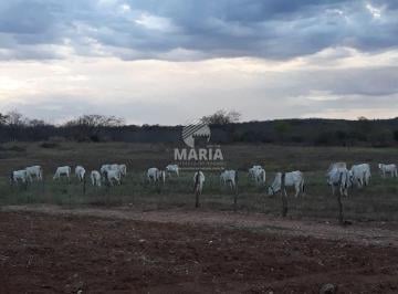 Rural , Sertânia · Área de 240 hectares à venda em Sertânia/PE!