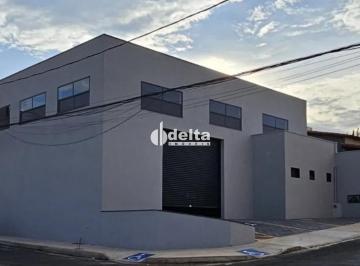 Comercial · 300m² · 3 Vagas · Galpão disponível para locação no bairro Nossa Senhora Aparecida em Uberlândia-MG