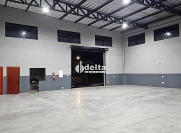 Comercial · 300m² · 3 Vagas · Galpão disponível para locação no bairro Nossa Senhora Aparecida em Uberlândia-MG