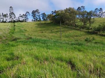 Terreno · 20000m² · Terreno em Mombuca, Itatiba/SP de 0m² à venda por R$ 890.000,00