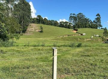 Terreno · 10m² · Terreno em Barracão, Gaspar/SC de 10m² à venda por R$ 2.200.000,00
