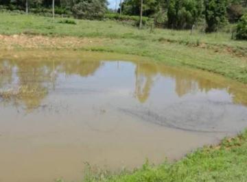 Rural , Pereiras · Sítio em Pereiras