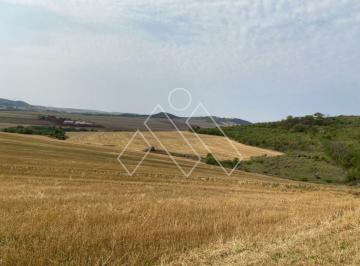 Imagem 1 · Fazenda