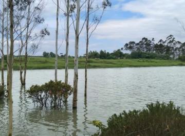 Imagem 1 · Fazenda