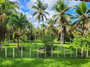 Imagem 1 · Fazenda