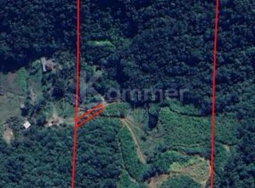 Foto 01 · Terreno Escriturado em Luiz alves com 157.961,53m2