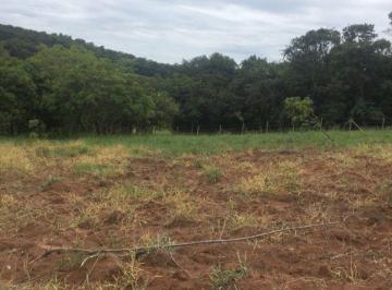 Terreno , Belo Vale · Terreno Belo Vale 1000 m2 plano lindo