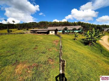 Foto 01 · FAZENDA  A VENDA EM BENEDITO NOVO COM REFLORESTAMENTO DE EUCALIPTO