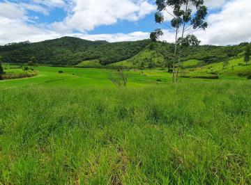 Foto 07 · FAZENDA DE PECUÁRIA A VENDA PRÓXIMO A FLORIANOPOLIS