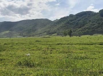 Foto 09 · TERRENO COM PASTAGEM, RIO, E NASCENTE A VENDA EM TIJUCAS PRÓXIMO DO ASFALTO