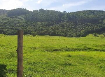 Foto 12 · TERRENO COM PASTAGEM, RIO, E NASCENTE A VENDA EM TIJUCAS PRÓXIMO DO ASFALTO