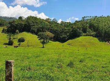 Foto 08 · Terreno Rural em Tijucas Com Pasto e Área de Plantio, Nascente - TROCO POR SALA COMERCIAL PRONTA, GA