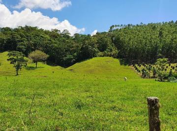Foto 03 · Terreno Rural em Tijucas Com Pasto e Área de Plantio, Nascente - TROCO POR SALA COMERCIAL PRONTA, GA