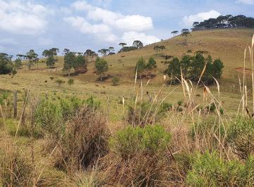 Foto 01 · FAZENDA A VENDA EM SÃO JOAQUIM REGIÃO DAS VINÍCOLAS e Vinhedos