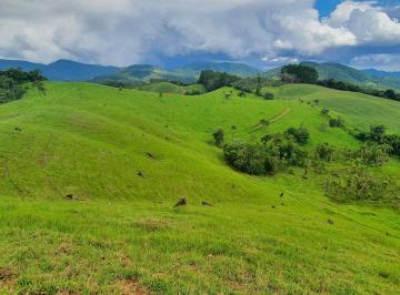 Foto 17 · TERRENO A VENDA COM PASTAGEM EM SÃO BONIFACIO