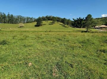 Foto 01 · TERRENO RURAL COM RIACHO PROXIMO AO CENTRO DE CAMBORIÚ