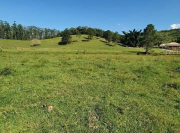 Foto 01 · TERRENO RURAL COM RIACHO PROXIMO AO CENTRO DE CAMBORIÚ