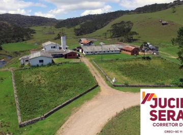 Foto 01 · FAZENDA A VENDA EM SÃO JOSE DOS AUSENTES COM MUITA ARAUCÁRIA E CANION SERRA DA ROCINHA