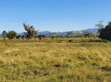 Foto 01 · GRANDE FAZENDA DE CRIAÇÃO DE GADO A VENDA EM PAULO LOPES