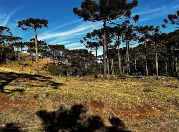 Foto 17 · TERRENO A VENDA EM BOM JARDIM DA SERRA