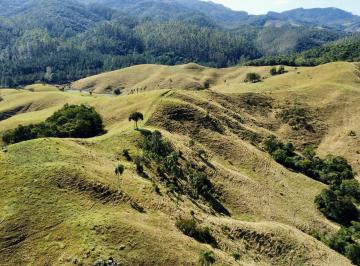 Foto 01 · FAZENDA A VENDA EM IMARUI COM BOA PASTAGEM RICA EM ÁGUA