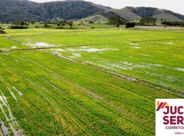 Foto 01 · TERRENO A VENDA COM POTENCIAL DE EXTRAÇÃO DE AREIA E ARGILA, TERRENO COM ARGILA PARA CERAMICA A VEN