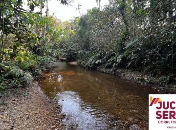 Foto 08 · Terreno a Venda em Camboriú com pastagem e riacho pronto para fazer seu sítio