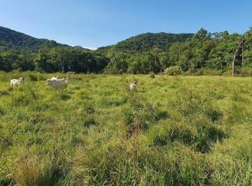 Foto 01 · Terreno a Venda em Camboriú com pastagem e riacho pronto para fazer seu sítio