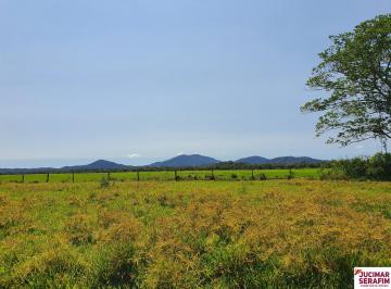 Foto 01 · GRANDE FAZENDA DE GADO A VENDA NA REGIÃO DA GRANDE FLORIANÓPOLIS