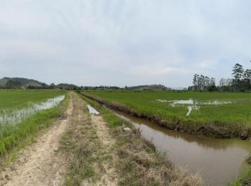 Foto 01 · TERENO PLANO COM ARROZEIRA A VENDA EM TIJUCAS