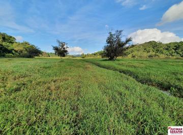 Foto 01 · FAZENDA COM PASTAGEM A VENDA EM LUIZ ALVES PRÓXIMO A BALNEÁRIO CAMBORIÚ