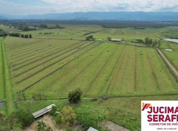 Foto 07 · Vendo com Exclusividade Fazenda no Litoral Sul de Santa Catarina, fazenda de gado a venda, fazenda c