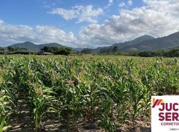 Foto 25 · Belíssima área com 23 hectares em Tijucas/SC