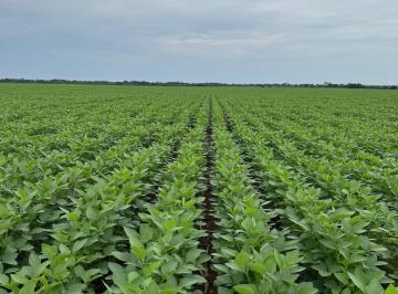 Foto 01 · Fazenda à venda no Estado do Tocantins