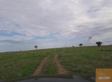 Foto 01 · Fazenda de 940 hectares à venda em São Gabriel do Oeste-MS: oportunidade única!
