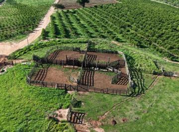 Foto 01 · *FAZENDA DE LARANJA A VENDA NA REGIÃO DE ITAPETININGA-SP* ?? ?   Área Total: 170 Alqueires ou 411,4 