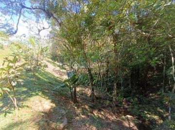 Rural · 20243m² · Natureza em estado puro, pronta para se transformar em oportunidade