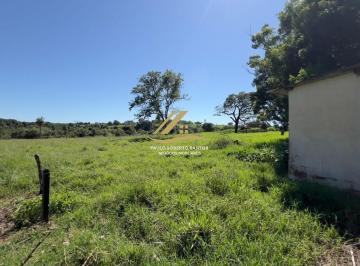 Foto 01 · Lindo Sítio em Tanabi-SP: 120.000m² de área plana, água corrente, todo arborizado e imóvel com 1 qua
