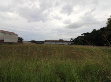 Terreno , Curitiba · TERRENO DE 600M2 NO BO QUEIRÃO