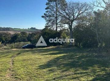60364918-da53-42ed-93ae-c1efe1361cef1774819228425.jpg · Imoveis - em Ponta Grossa