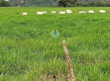 Rural · 18800m² · Fazenda Lavoura tocantins