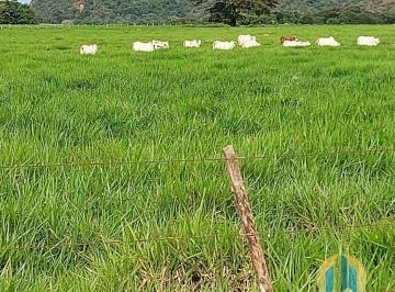 Rural · 18800m² · Fazenda Lavoura tocantins