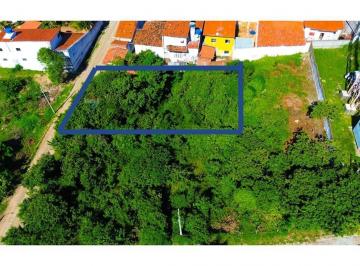 Terreno · 396m² · Oportunidade de Investimento ou Moradia em Pium: Terreno Multiuso