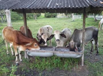 Áreas à venda, CENTRO, Itaporanga d'Ajuda, SE · Áreas à venda, CENTRO, Itaporanga d'Ajuda, SE